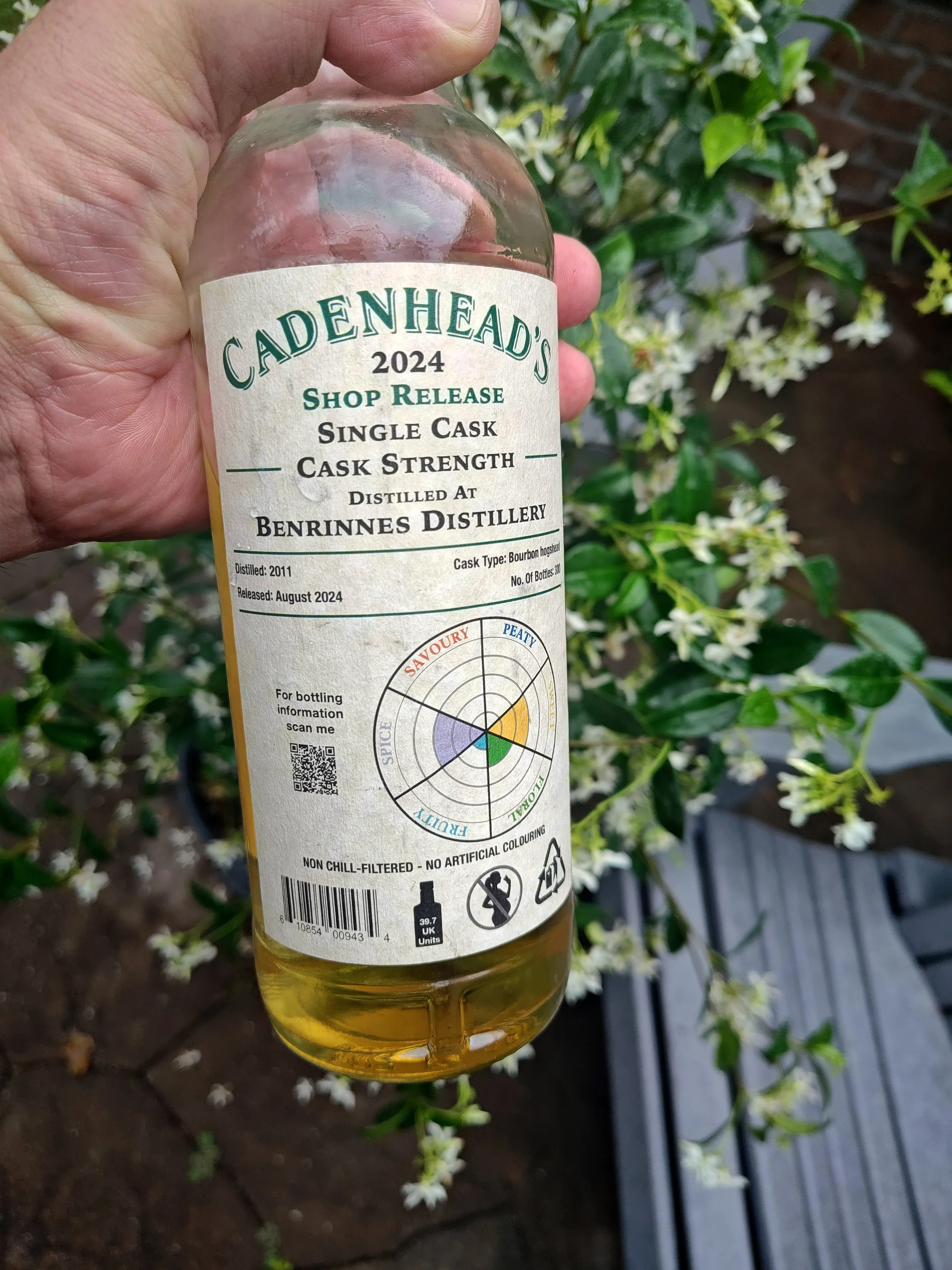 Benrinnes 12yo Cadenhead's — Dramface